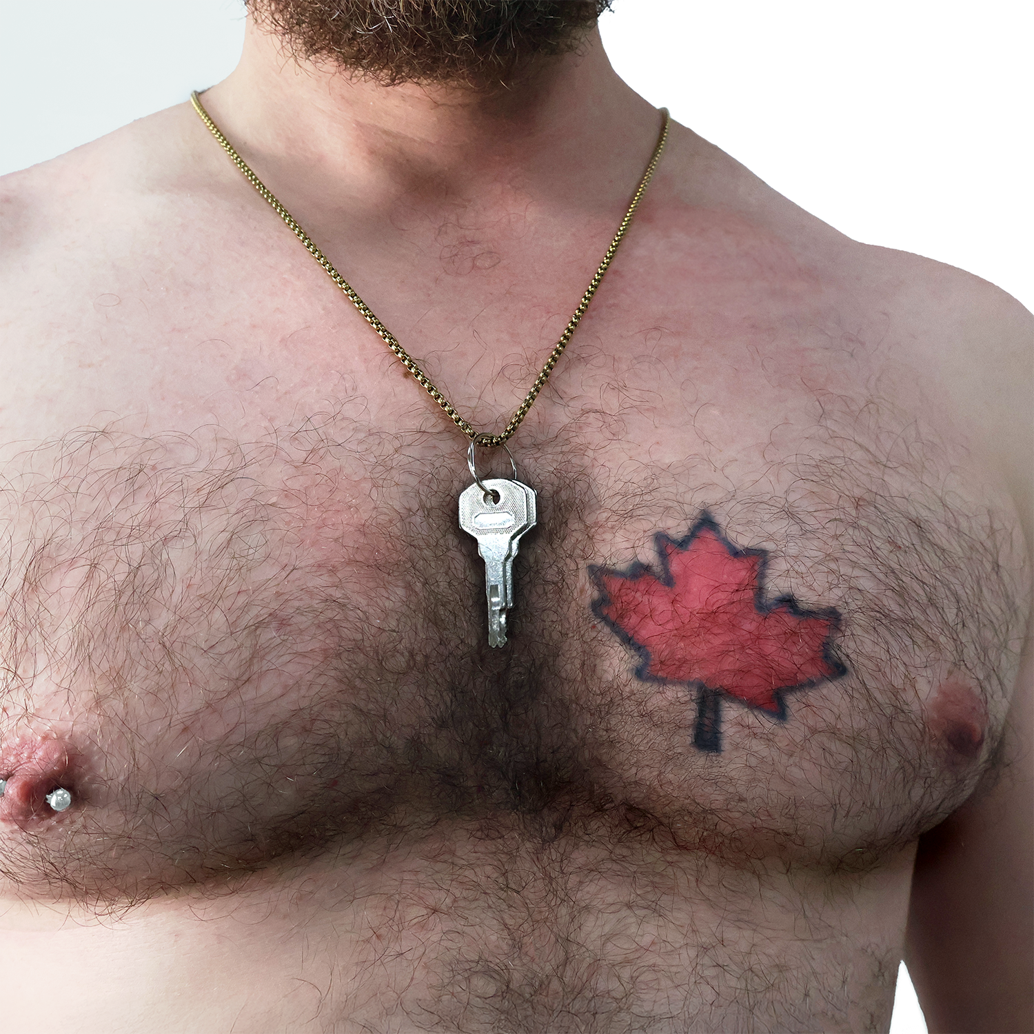 Chastity Cage Lock & Keys